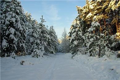 多人合作游戏《快到碗里来》上架wegame等国内平台