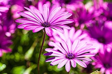 新一批国产游戏版号下发 《古剑奇谭二》手游过审